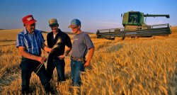 Fermierii moldoveni, ÎNGRIJORAȚI că Acordul de liber schimb cu UE ar putea ruina agricultura Fermierii moldoveni, ÎNGRIJORAȚI că Acordul de liber schimb cu UE ar putea ruina agricultura