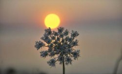 Vreme caldă în lunile mai și iunie: temperaturi peste normele perioadei Vreme caldă în lunile mai și iunie: temperaturi peste normele perioadei