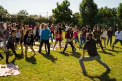 Taberele cu sejur de zi îşi încep activitatea Taberele cu sejur de zi îşi încep activitatea