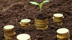 Cine înghite cele mai multe subvenții din agricultură? Cine înghite cele mai multe subvenții din agricultură?