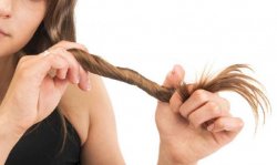 Vrei să-ți crească părul mai repede? Folosește ceapă și usturoi. Iată ce trebuie să faci Vrei să-ți crească părul mai repede? Folosește ceapă și usturoi. Iată ce trebuie să faci