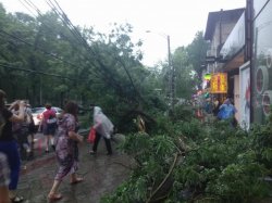 Potop în capitală: Mai mulți copaci au fost doborâți (VIDEO) Potop în capitală: Mai mulți copaci au fost doborâți (VIDEO)