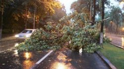 Furtuna de aseară a făcut ravagii în Nord Furtuna de aseară a făcut ravagii în Nord