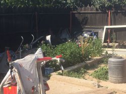 FOTO | TRAGEDIA de pe calea ferată. Cum trăia femeia care s-a aruncat în faţa trenului împreună cu cele trei fetiţe FOTO | TRAGEDIA de pe calea ferată. Cum trăia femeia care s-a aruncat în faţa trenului împreună cu cele trei fetiţe