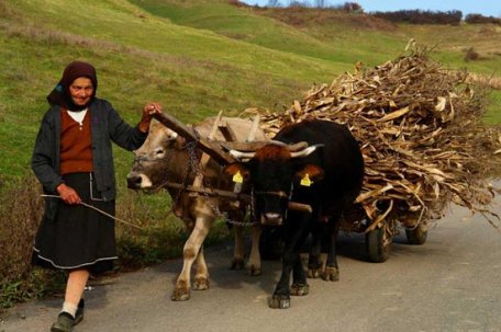 O ţară bătrână şi săracă O ţară bătrână şi săracă