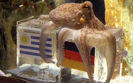 Uruguayul, defavorizat şi de istorie, nu numai de caracatiţa Paul Uruguayul, defavorizat şi de istorie, nu numai de caracatiţa Paul