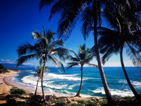 Sejur exotic în R. Dominicană, chiar şi cu paşaportul albastru Sejur exotic în R. Dominicană, chiar şi cu paşaportul albastru
