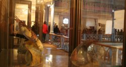 Dialog între ceramică și tapiserie Dialog între ceramică și tapiserie