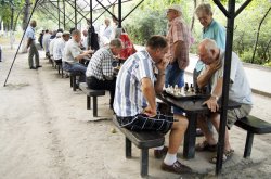 Pavilionul de șah, locul care unește oameni diferiți Pavilionul de șah, locul care unește oameni diferiți