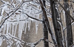 Peste 30 de localități rămân deconectate de la energia electrică Peste 30 de localități rămân deconectate de la energia electrică