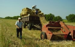 Biroul de Informații al TIMPULUI. Cum sunt susținuți cei care vor să investească în proiecte de energie regenerabilă Biroul de Informații al TIMPULUI. Cum sunt susținuți cei care vor să investească în proiecte de energie regenerabilă