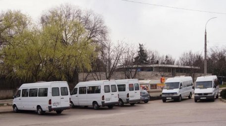 Cine se hrănește pe seama microbuzelor Cine se hrănește pe seama microbuzelor
