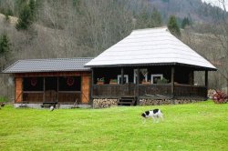 O casă veche de peste 100 de ani din Bucovina a fost salvată de la uitare (GALERIE FOTO) O casă veche de peste 100 de ani din Bucovina a fost salvată de la uitare (GALERIE FOTO)