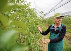 Ce trebuie să știi ca să poți obține subvenții în agricultură (III) Ce trebuie să știi ca să poți obține subvenții în agricultură (III)
