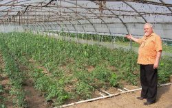 Ce trebuie să știi ca să poți obține subvenții în agricultură (IV) Ce trebuie să știi ca să poți obține subvenții în agricultură (IV)