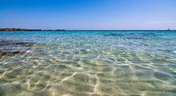 (FOTO) Un motiv să nu beți apă de mare - o picătură maritimă văzută la microscop (FOTO) Un motiv să nu beți apă de mare - o picătură maritimă văzută la microscop