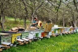 Idei de afaceri sau top 5 investiții profitabile în... agricultură Idei de afaceri sau top 5 investiții profitabile în... agricultură