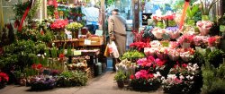 4 afaceri sezoniere profitabile 4 afaceri sezoniere profitabile