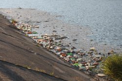 În Dunăre este mai mult plastic decât peşte În Dunăre este mai mult plastic decât peşte