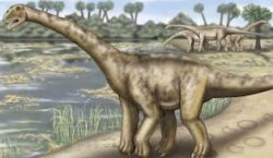 Arheologii americani au descoperit fosilele unui dinozaur... cu personalitate Arheologii americani au descoperit fosilele unui dinozaur... cu personalitate