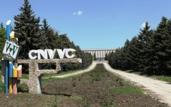 Angajaților Colegiului Național de Viticultură și Vinificație le-a ajuns cuțitul la os Angajaților Colegiului Național de Viticultură și Vinificație le-a ajuns cuțitul la os