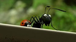 Începe Anim'est. Filmul „Minuscule” deschide cel mai așteptat festival de film din Chișinău Începe Anim'est. Filmul „Minuscule” deschide cel mai așteptat festival de film din Chișinău