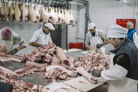 Locul unde sunt sacrificate animalele Locul unde sunt sacrificate animalele