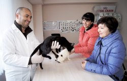 Viața de câine: Pacienții de lux ai clinicilor veterinare Viața de câine: Pacienții de lux ai clinicilor veterinare