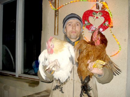 Riscuri în agricultură (I): Pe lângă bani, afacerile cu păsări aduc și multe bătăi de cap Riscuri în agricultură (I): Pe lângă bani, afacerile cu păsări aduc și multe bătăi de cap