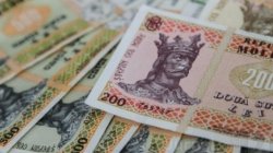 DECLARAȚII: Leul se devalorizează pentru că se micșorează exporturile și scad remitențele DECLARAȚII: Leul se devalorizează pentru că se micșorează exporturile și scad remitențele