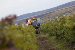 Europenii au finalizat proiectul de susținere a zonelor rurale din R. Moldova Europenii au finalizat proiectul de susținere a zonelor rurale din R. Moldova