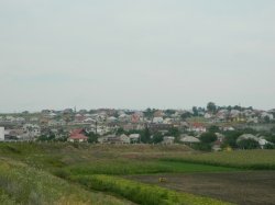 (Băcioi) Patru indivizi au furat patru buletine de vot (Băcioi) Patru indivizi au furat patru buletine de vot