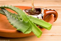 (FRUMUSEȚE) Aloe Vera, beneficiile ei asupra frumuseţii (FRUMUSEȚE) Aloe Vera, beneficiile ei asupra frumuseţii
