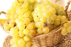 Cimișlia va găzdui Festivalul Strugurelui Cimișlia va găzdui Festivalul Strugurelui