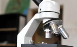 O tehnică de modificare a genomului uman a fost premiată de revista Science O tehnică de modificare a genomului uman a fost premiată de revista Science