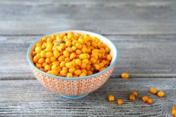 Cătina – un aliat împotriva kilogramelor în plus Cătina – un aliat împotriva kilogramelor în plus