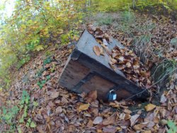 Guvernul a pregătit amenzi pentru vânătorii de comori Guvernul a pregătit amenzi pentru vânătorii de comori