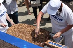 Sechestru pe una dintre cele mai mari fabrici de înghețată din Moldova Sechestru pe una dintre cele mai mari fabrici de înghețată din Moldova