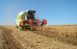 Asociaţiile de agricultori anunţă noi proteste Asociaţiile de agricultori anunţă noi proteste