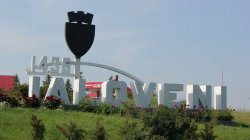 Ruta de troleibuze Chișinău-Ialoveni ar putea fi lansată în toamnă Ruta de troleibuze Chișinău-Ialoveni ar putea fi lansată în toamnă