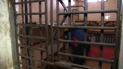 Noua Strategie a sistemului penitenciar: deţinuţii vor avea mai mult spaţiu şi condiţii mai bune Noua Strategie a sistemului penitenciar: deţinuţii vor avea mai mult spaţiu şi condiţii mai bune
