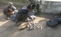 Trei braconieri au fost prinși în rezervația „Prutul de Jos” Trei braconieri au fost prinși în rezervația „Prutul de Jos”