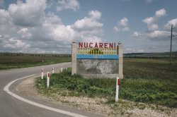 Нукэрень – село, где у каждых ворот растет орешник Нукэрень – село, где у каждых ворот растет орешник