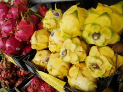Cactus, un fruct de basm Cactus, un fruct de basm