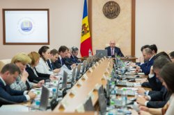 FIA susţine înlocuirea patentei cu activitatea independentă FIA susţine înlocuirea patentei cu activitatea independentă
