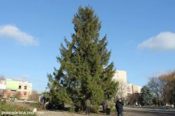 În oraşul Soroca a fost instalat Pomul de Crăciun În oraşul Soroca a fost instalat Pomul de Crăciun
