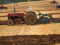 Subvenţionarea agricultorilor se propune în mărime de 900 mln lei Subvenţionarea agricultorilor se propune în mărime de 900 mln lei