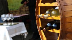 Legea bugetului de stat nu prevede mijloace pentru dezvoltarea viticulturii şi vinificaţiei Legea bugetului de stat nu prevede mijloace pentru dezvoltarea viticulturii şi vinificaţiei