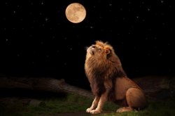 Luna Plină în Leu pe 11 februarie. Cum sunt afectate zodiile Luna Plină în Leu pe 11 februarie. Cum sunt afectate zodiile