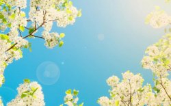 Horoscop 2 martie 2017 Horoscop 2 martie 2017